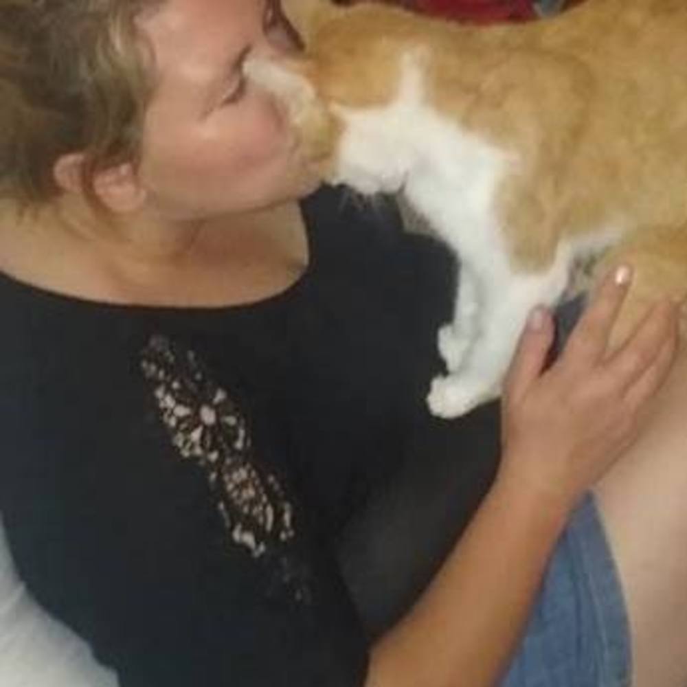 Meet your Posher, Dawn